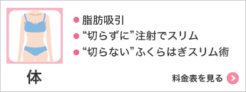 体 ・脂肪吸引・“切らずに”注射でスリム・“切らない”ふくらはぎスリム術 料金表を見る