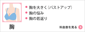 胸 ・胸を大きく（バストアップ）・胸の悩み・胸の若返り 料金表を見る