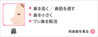 鼻 ・鼻を高く／鼻筋を通す・鼻を小さく・ワシ鼻を解消 料金表を見る