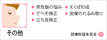 男性器の悩み でべそ修正 立ち耳修正 えくぼ形成 皮膚のたるみ取りを見る