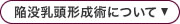 陥没乳頭形成術について