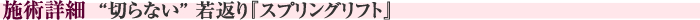 施術詳細　“切らない” 若返り『スプリングリフト』