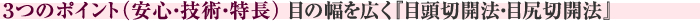 ３つのポイント（安心・技術・特長）目の幅を広く『目頭切開法・目尻切開法』