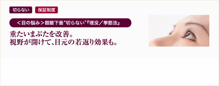 切らない 保証制度 ＜目の悩み＞眼瞼下垂“切らない”『埋没／挙筋法』 重たいまぶたを改善。視野が開けて、目元の若返り効果も。