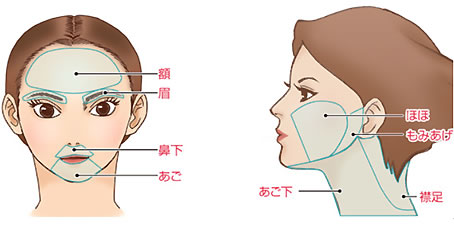 額　眉　鼻下　あご　ほほ　もみあげ　襟足　あご下