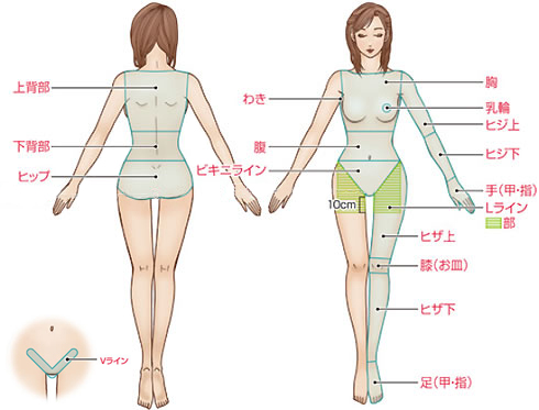 上背部　下背部　ヒップ　肛門周囲　わき　胸　乳輪　ヒジ上　ヒジ下　腹　ビキニライン　Iライン　手（甲・指）　Lライン　ヒザ上　膝（お皿）　ヒザ下　足（甲・指）