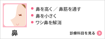 鼻 ・鼻を高く／鼻筋を通す・鼻を小さく・ワシ鼻を解消 診療科目を見る