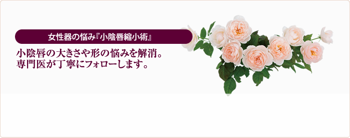 女性器の悩み『小陰唇縮小術』小陰唇の大きさや形の悩みを解消。専門医が丁寧にフォローします。