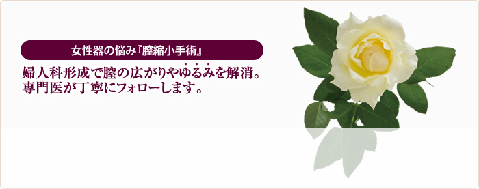 女性器の悩み『膣縮小手術』婦人科形成で膣の広がりやゆるみを解消。専門医が丁寧にフォローします。