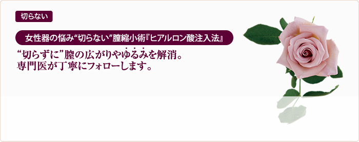 女性器の悩み“切らない”膣縮小術『ヒアルロン酸注入法』切らずに”膣の広がりやゆるみを解消。専門医が丁寧にフォローします。