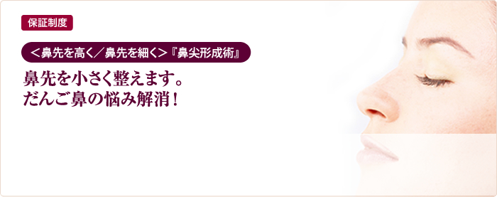 保証制度 ＜  鼻先を高く／鼻先を細く＞   『鼻尖形成術』 鼻先を小さく整えます。だんご鼻の悩み解消！