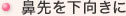 鼻先を下向きに