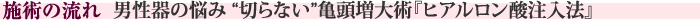 施術の流れ　男性器の悩み“切らない”亀頭増大術『ヒアルロン酸注入法』