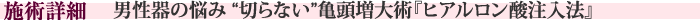 施術詳細　男性器の悩み“切らない”亀頭増大術『ヒアルロン酸注入法』