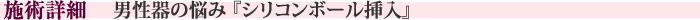 施術詳細　男性器の悩み『シリコンボール挿入』