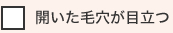 開いた毛穴が目立つ