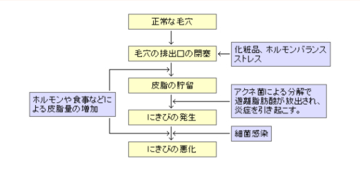 ニキビ治療の基本図