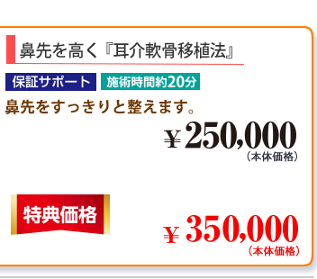 鼻先を高く「耳介軟骨移植術」