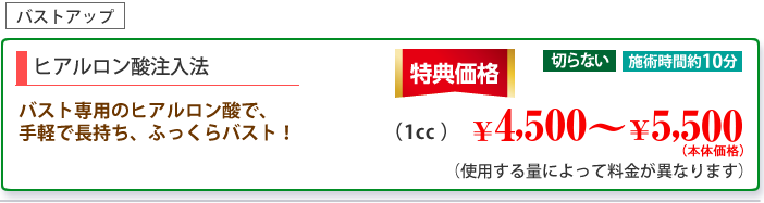 バストアップ「ヒアルロン酸注入法」
