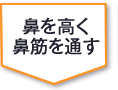 鼻を高く 鼻筋を通す