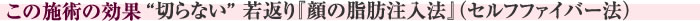 この施術の効果　“切らない” 若返り『顔の脂肪注入法』(セルフファイバー法)