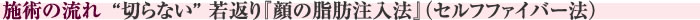 施術の流れ　“切らない” 若返り『顔の脂肪注入法』(セルフファイバー法)