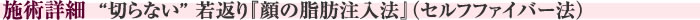 施術詳細　“切らない” 若返り『顔の脂肪注入法』(セルフファイバー法)