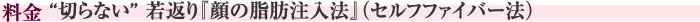 料金　“切らない” 若返り『顔の脂肪注入法』(セルフファイバー法)